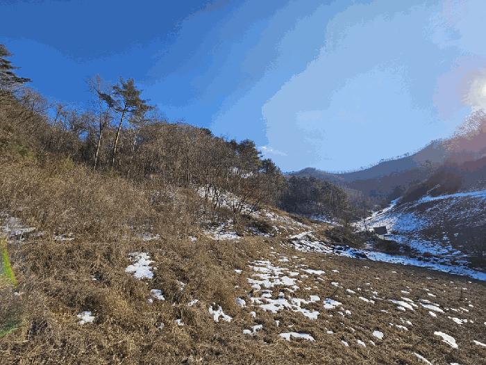 강원특별자치도 정선군 화암면 백전리 156 전 경매 물건 사진