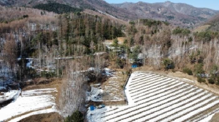 강원 평창군 봉평면 임야 경매 물건 사진