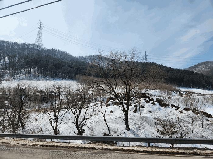 강원특별자치도 정선군 신동읍 조동리 211-1 전 경매 물건 사진