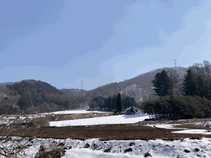 강원 평창군 봉평면 임야 경매 물건 사진 5 · 2025타경30375