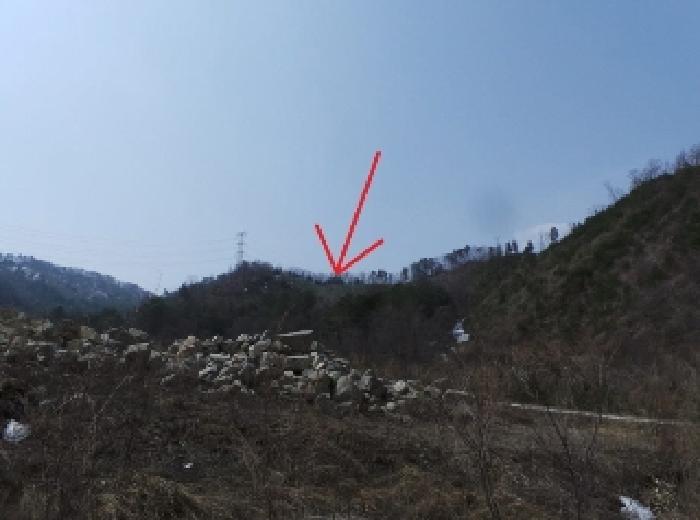 강원 평창군 봉평면 임야 경매 물건 사진