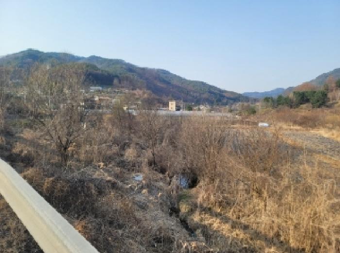 강원 영월군 무릉도원면 전 경매 물건 사진