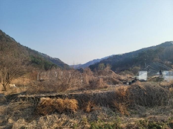 강원 영월군 무릉도원면 전 경매 물건 사진 2 · 2025타경30403