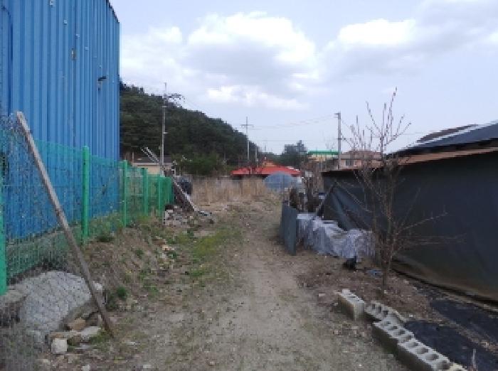 강원 평창군 봉평면 전 경매 물건 사진
