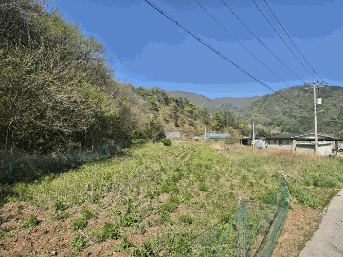 강원특별자치도 영월군 북면 공기리 1501-1 전 경매 물건 사진