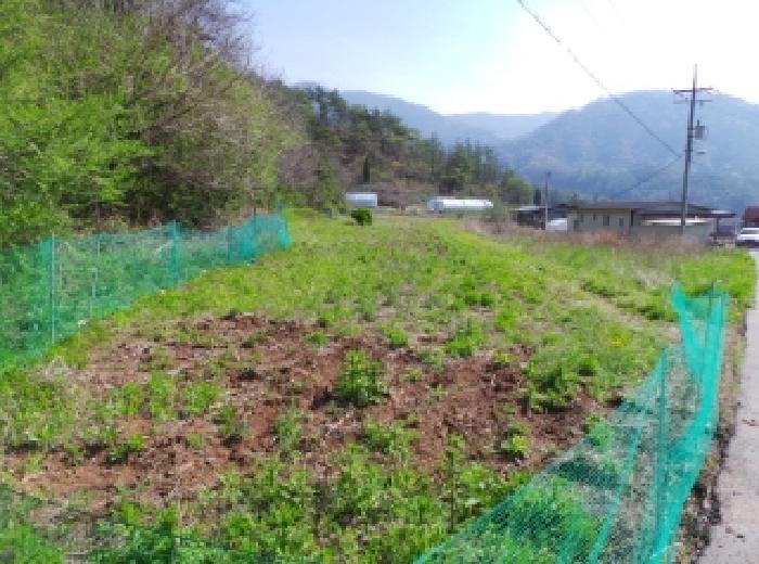 강원 영월군 북면 전 경매 물건 사진