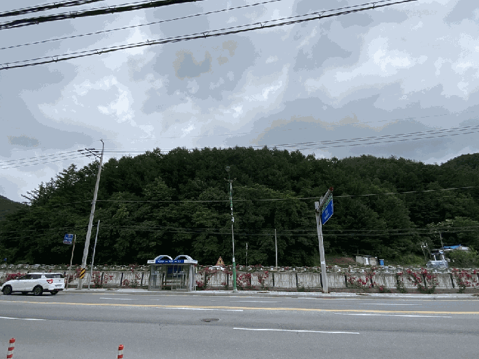 강원특별자치도 태백시 황지동 산10-9 임야 경매 물건 사진