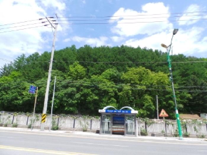 강원 태백시 황지동 임야 경매 물건 사진