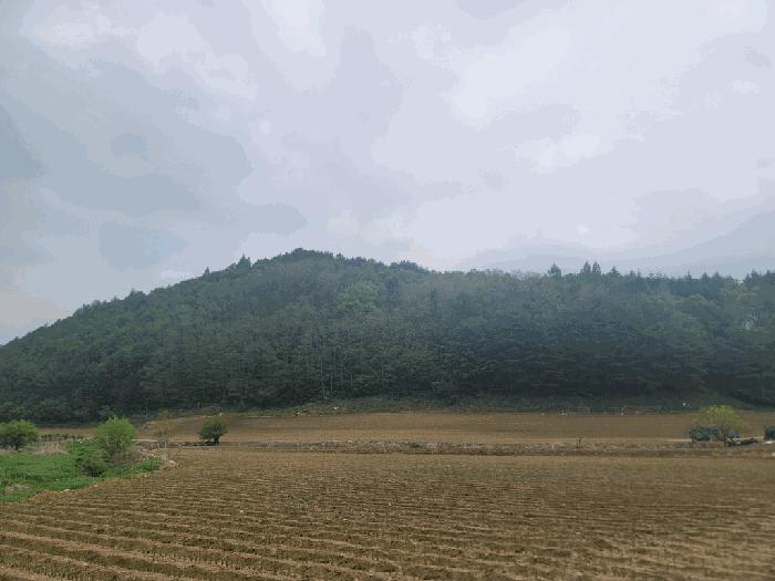강원 평창군 진부면 전 경매 물건 사진 6 · 2025타경30466