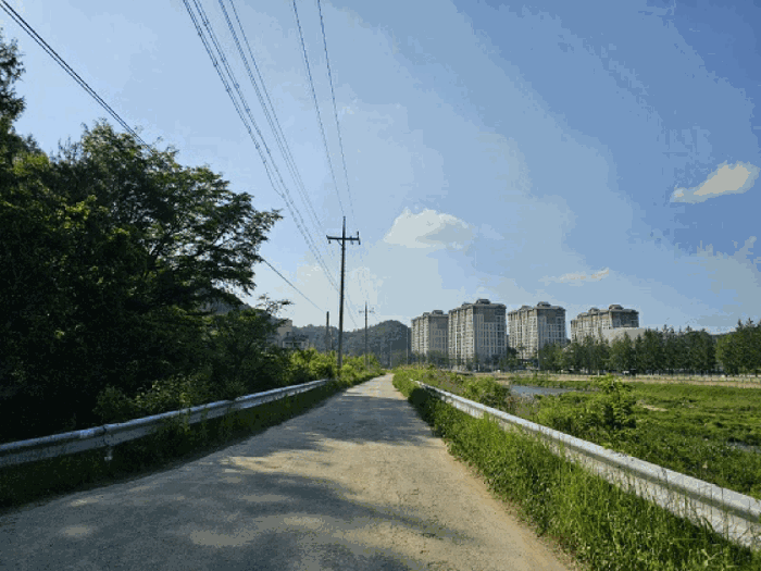 강원 평창군 대관령면 임야 경매 물건 사진 5 · 2025타경30483
