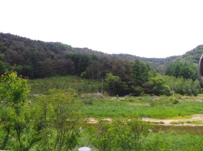 강원 평창군 대관령면 임야 경매 물건 사진