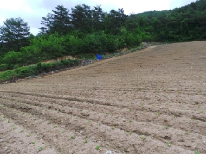 강원 평창군 진부면 대지 경매 물건 사진 3 · 2025타경30488
