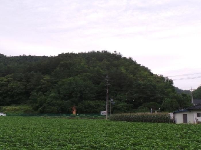 강원 영월군 남면 임야 경매 물건 사진