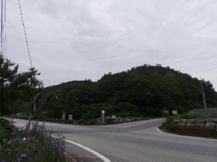 강원 영월군 남면 임야 경매 물건 사진 2 · 2025타경30497