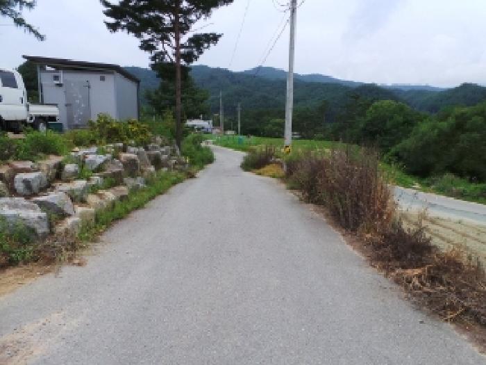 강원 평창군 진부면 전 경매 물건 사진 5 · 2025타경30548