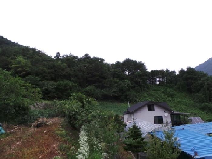 강원 평창군 대화면 전 경매 물건 사진