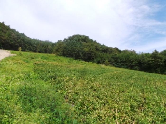 강원 평창군 대관령면 대지,임야,전답 경매 물건 사진 2 · 2025타경30565