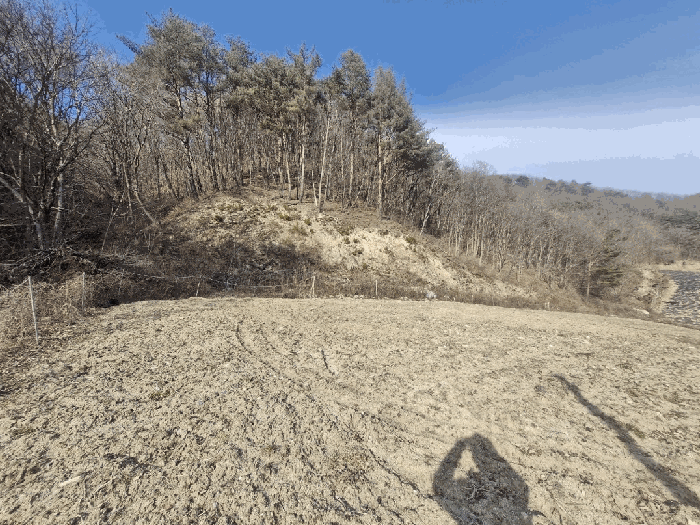 강원 평창군 대관령면 대지,임야,전답 경매 물건 사진 4 · 2025타경30567