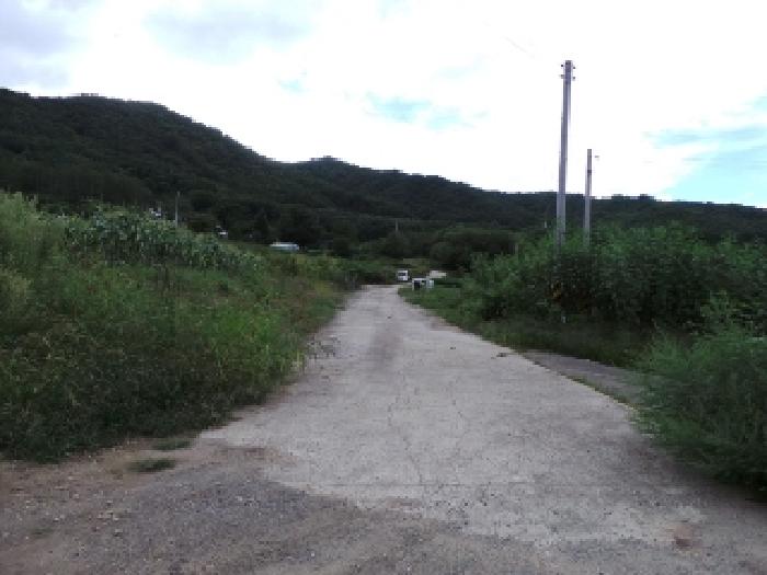 강원 평창군 봉평면 전 경매 물건 사진