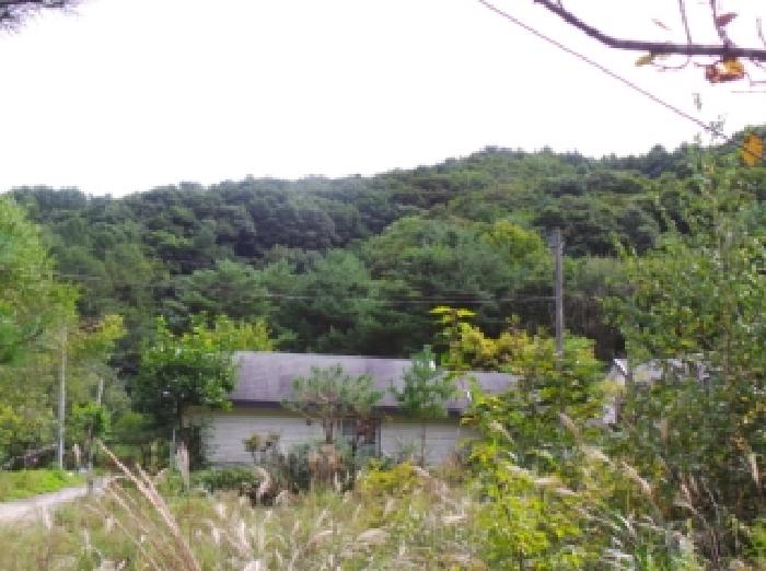 강원 평창군 봉평면 임야 경매 물건 사진