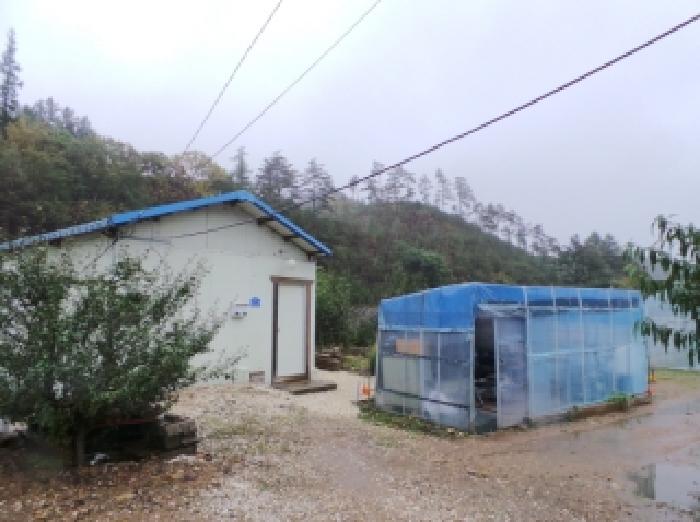 강원 정선군 임계면 전답 경매 물건 사진