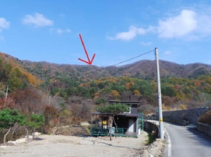 강원 평창군 봉평면 임야 경매 물건 사진