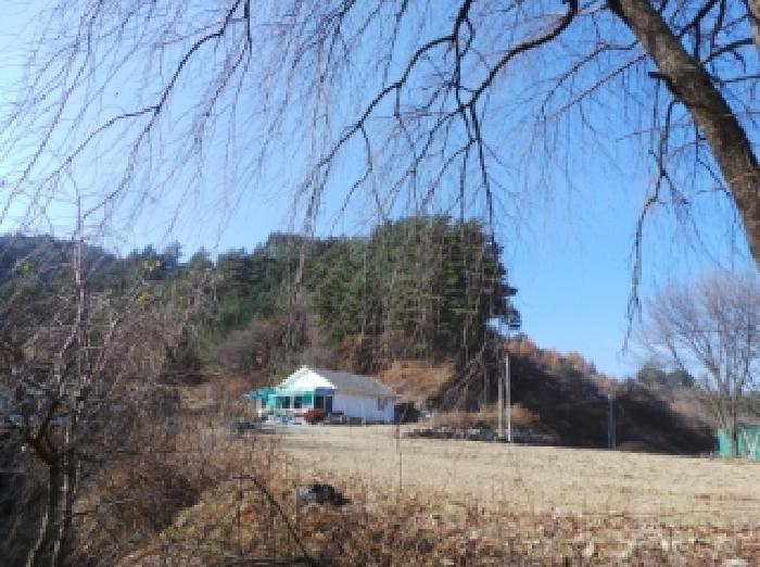 강원 평창군 용평면 대지,임야,전답 경매 물건 사진