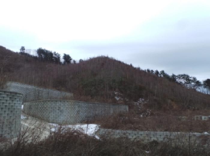 강원 평창군 봉평면 임야 경매 물건 사진