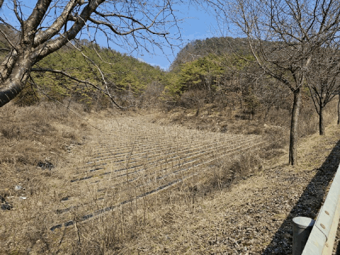 강원도 영월군 영월읍 삼옥리 760 전 경매 물건 사진