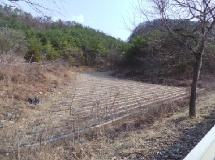 강원 영월군 영월읍 전 경매 물건 사진