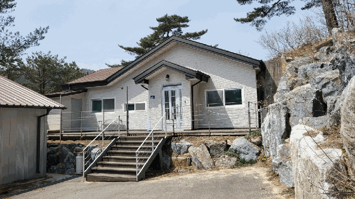 강원특별자치도 평창군 대관령면 차항리 491-3 다세대주택 경매 물건 사진