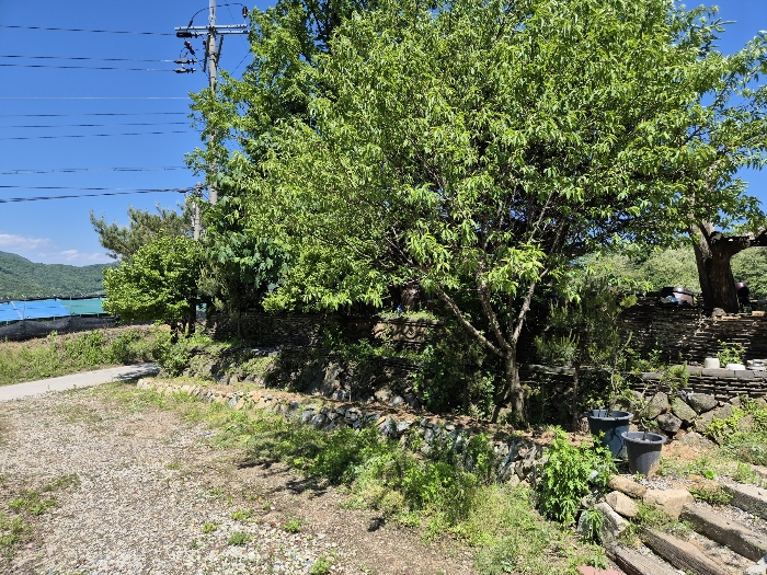 충청북도 괴산군 사리면 수암리 391-3 임야 경매 물건 사진