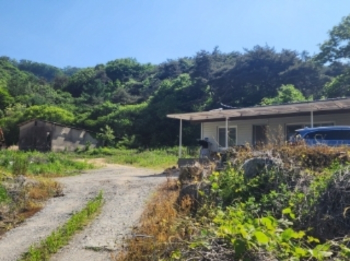충북 괴산군 사리면 임야 경매 물건 사진 3 · 2024타경55088