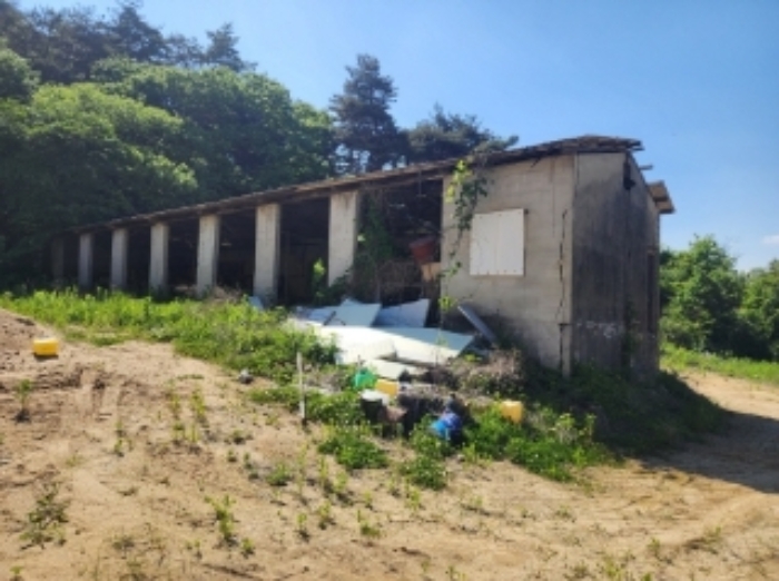 충북 괴산군 사리면 임야 경매 물건 사진 4 · 2024타경55088
