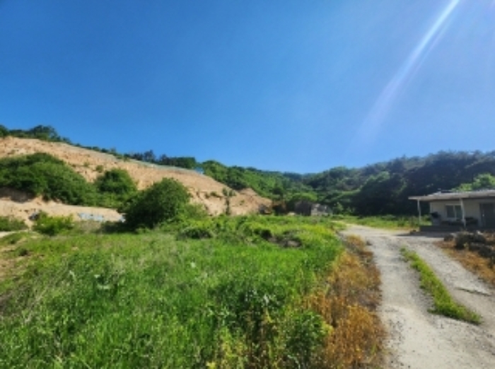 충북 괴산군 사리면 임야 경매 물건 사진 6 · 2024타경55088