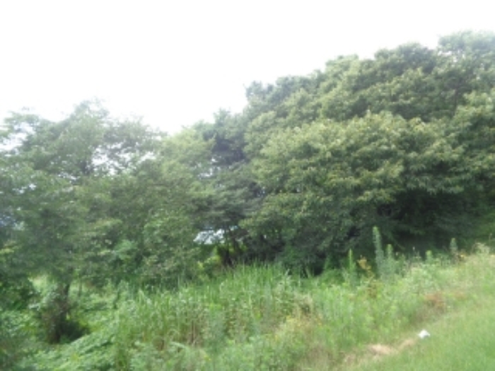 충북 청주시 청원구 내수읍 전 경매 물건 사진 2 · 2024타경57336