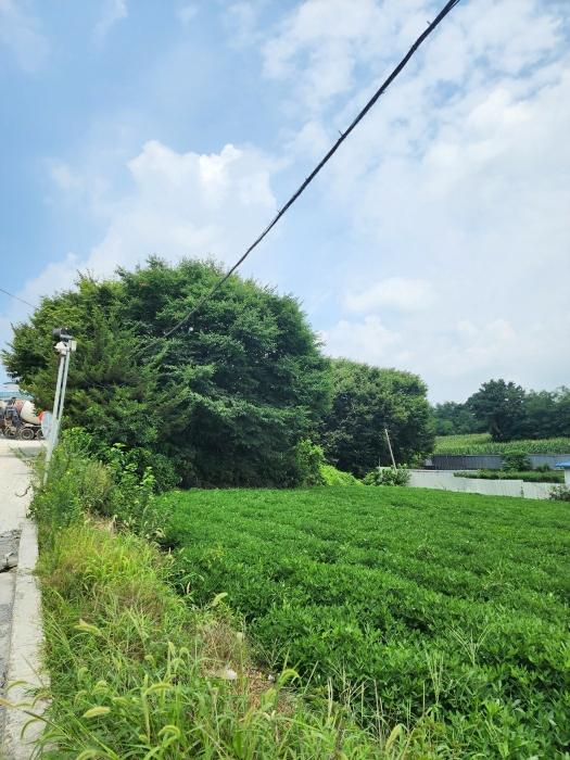 충북 청주시 청원구 내수읍 전 경매 물건 사진 4 · 2024타경57336