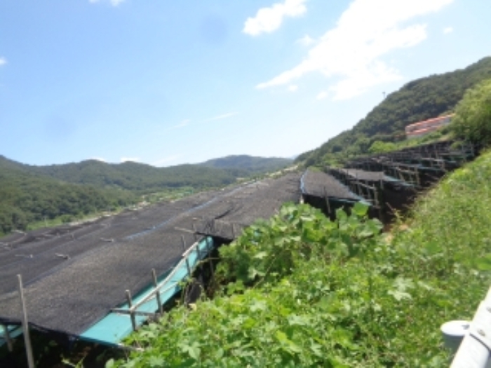 충북 괴산군 소수면 대지 경매 물건 사진 4 · 2024타경58186