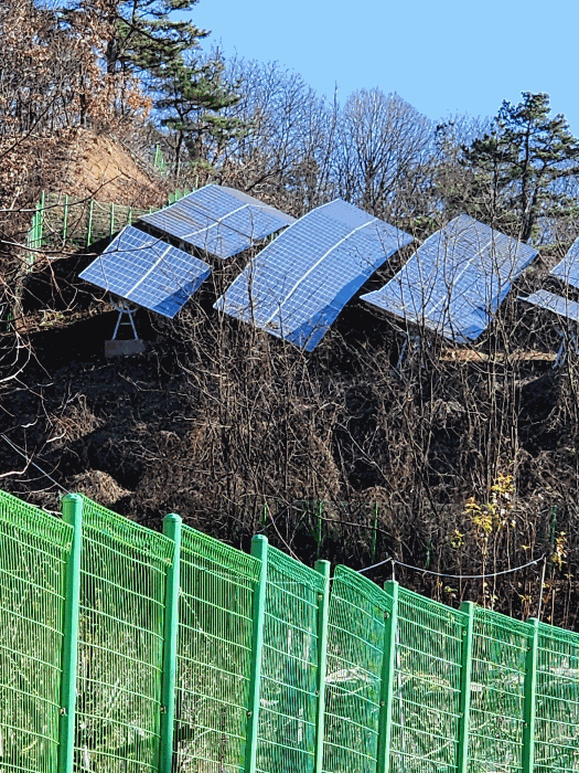 충북 괴산군 괴산읍 잡종지 경매 물건 사진 4 · 2024타경63737
