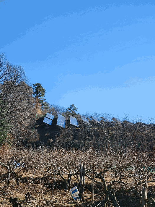 충북 괴산군 괴산읍 잡종지 경매 물건 사진 5 · 2024타경63737