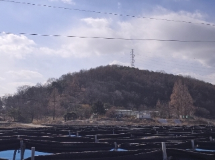 충북 청주시 상당구 가덕면 임야 경매 물건 사진 2 · 2024타경64327
