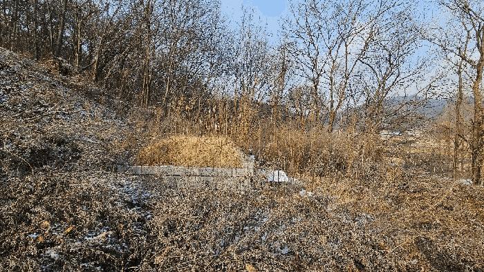 충북 청주시 상당구 가덕면 임야 경매 물건 사진 3 · 2024타경64327