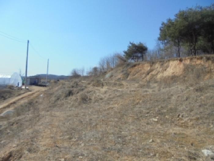 충북 증평군 증평읍 답 경매 물건 사진 4 · 2025타경1200
