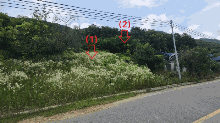 충북 괴산군 감물면 전 경매 물건 사진 4 · 2025타경2708
