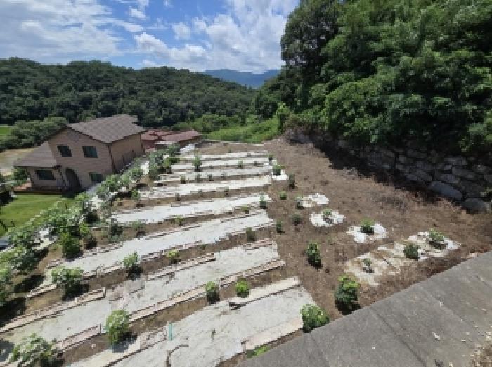 충북 진천군 이월면 도로 경매 물건 사진 4 · 2025타경3367