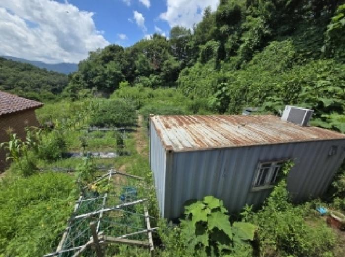 충북 진천군 이월면 도로 경매 물건 사진 6 · 2025타경3367