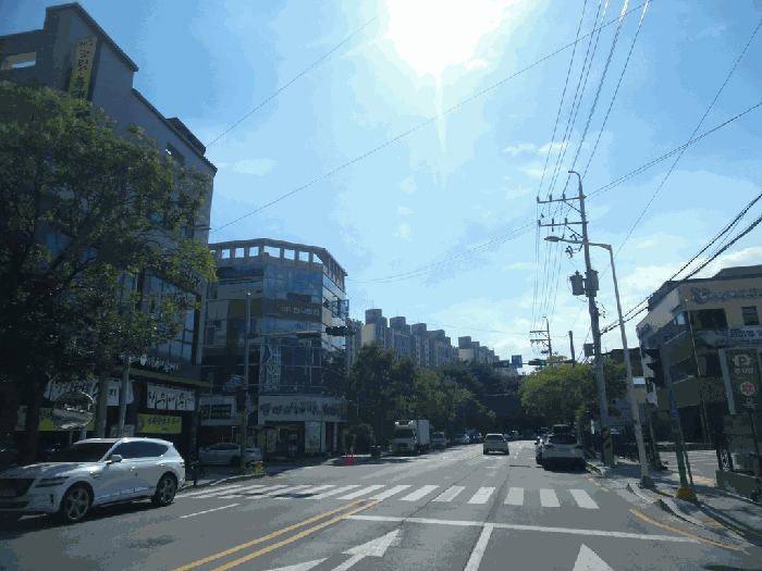 충북 청주시 흥덕구 복대동 대지 경매 물건 사진 6 · 2025타경3428