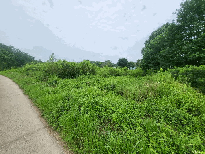 충북 진천군 덕산읍 답 경매 물건 사진 6 · 2025타경3633