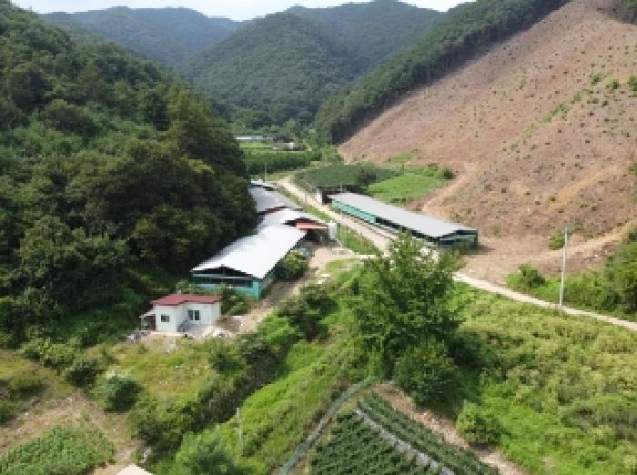 충북 청주시 상당구 미원면 동물및식물관련시설 경매 물건 사진