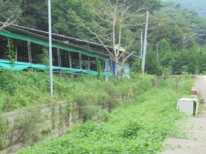 충북 청주시 상당구 미원면 동물및식물관련시설 경매 물건 사진 6 · 2025타경3930